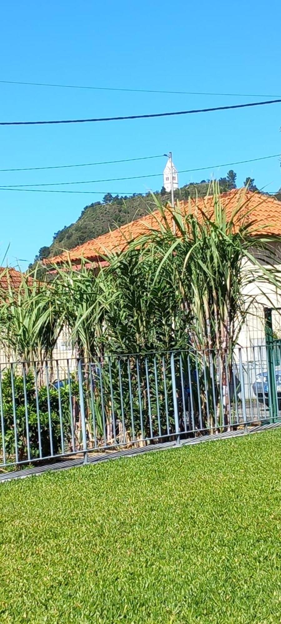 Refugio Do Limoeiro Villa São Vicente Exterior photo